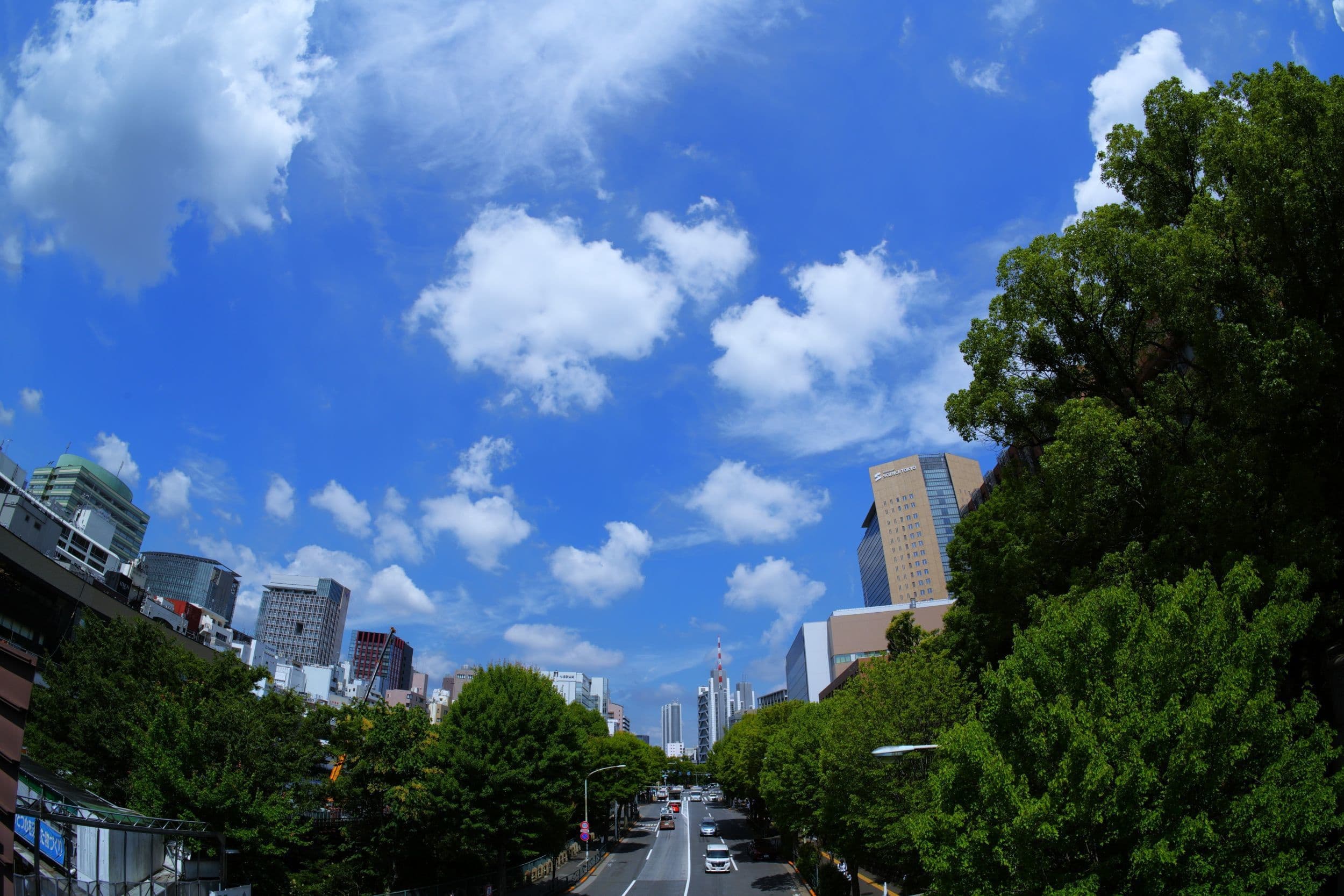 dsc00696.jpg