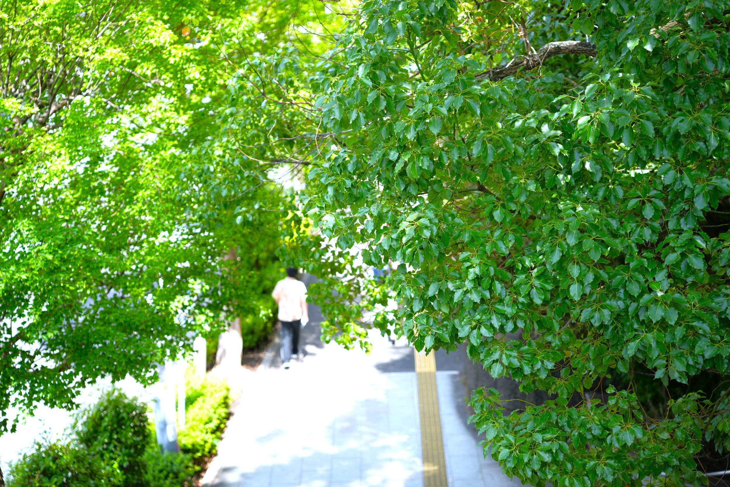 dsc00818.jpg